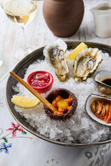 Exquisite Seafood Platter with Oysters and Sea Urchin on Crushed Ice