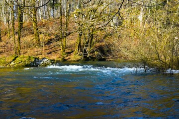 Rak river in Rakov Škocjan nature park in Notranjska, Slovenia