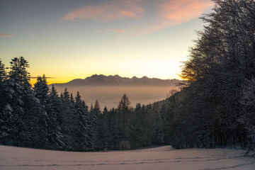 Pieniny , góry, zima, śnieg, Karpaty, mgły, Tatry, Dunajec