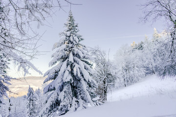 Pieniny , góry, zima, śnieg, Karpaty, mgły, Tatry, Dunajec