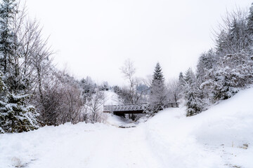 Pieniny , góry, zima, śnieg, Karpaty, mgły, Tatry, Dunajec