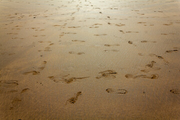 many footprints on the sand