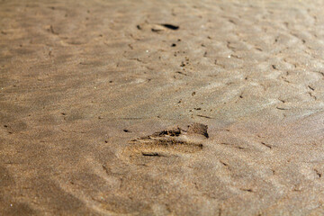 barefoot prints in sand