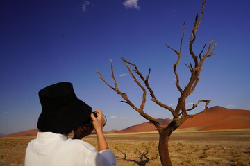 namibia desert bright colours 