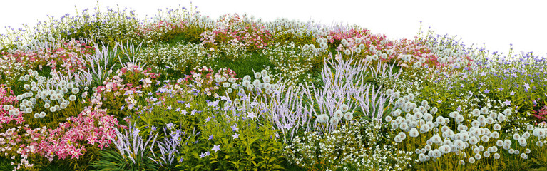 Fototapeta premium 3D render of many kinds of flower fields on a hill with transparent background.
