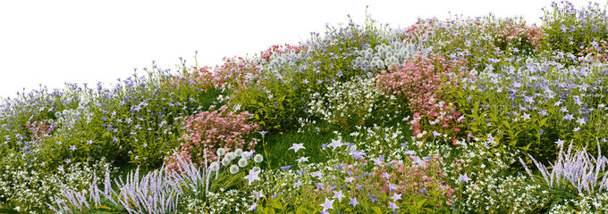 3D render of many kinds of flower fields on a hill with transparent background.