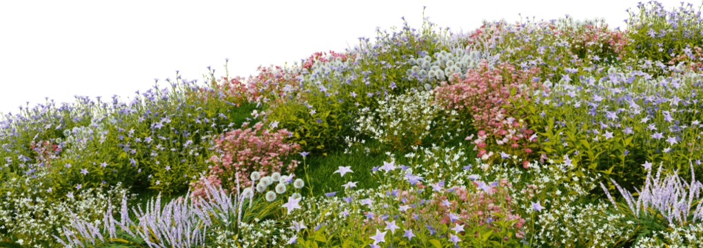 3D render of many kinds of flower fields on a hill with transparent background.