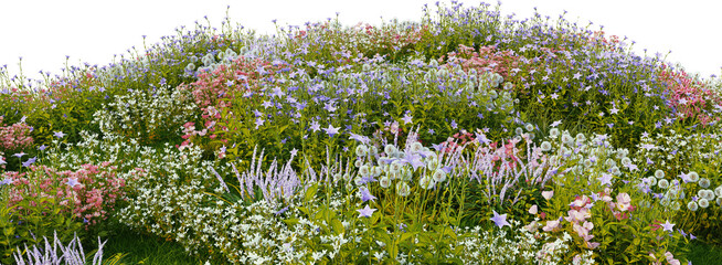 3D render of many kinds of flower fields on a hill with transparent background.