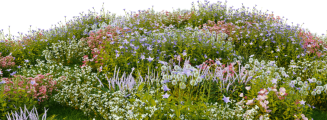 3D render of many kinds of flower fields on a hill with transparent background.