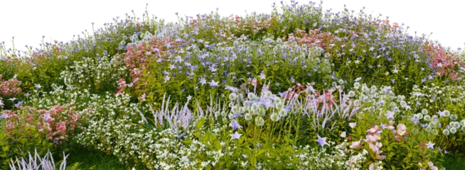 3D render of many kinds of flower fields on a hill with transparent background.