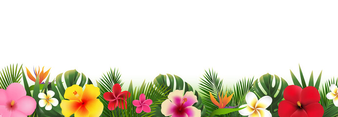 Tropical Flowers With Green Leaves