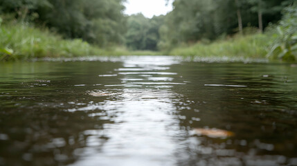 Calm stream flows through lush forest; nature background