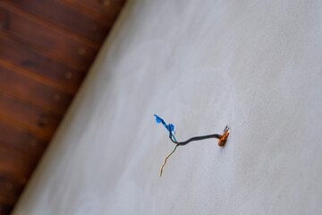 Wire sticking out of the wall of the house from the outside, view from below