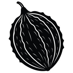 Bitter Melon Silhouette – Isolated Vector Illustration