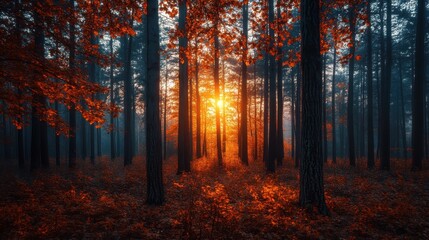 Fototapeta premium Golden sunlight filtering through misty forest, illuminating crimson autumn leaves blanketing woodland floor with ethereal glow
