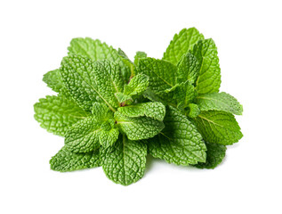 Mint leaves © margo555