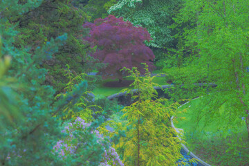 Flowering Trees In Botanical Garden