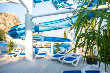 Water Park Slides Pool Loungers - White Loungers by Pool with Water Slides and Palm Trees in a Waterpark.