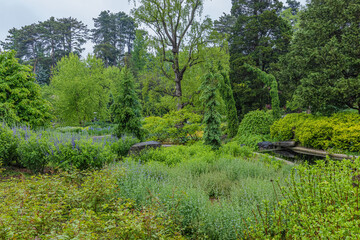 Rainy Day In The Botanical Garden
