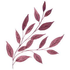 Watercolor cute brown fantasy brunch isolated on white background