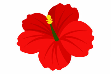 red hibiscus flower © MsKhadija