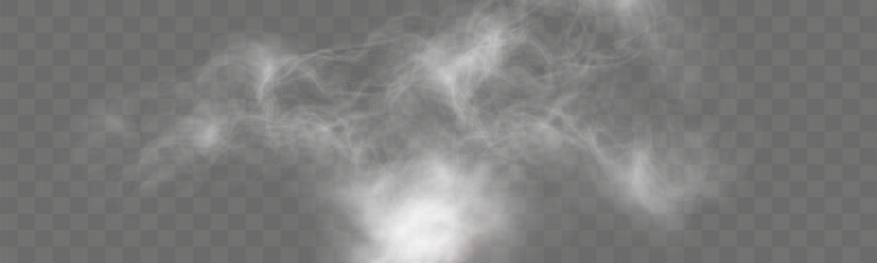 Realistic white smoke or mist effect with soft, swirling patterns on a transparent background. Perfect for overlays and atmospheric designs.