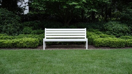 White bench in lush garden, peaceful scene, tranquility