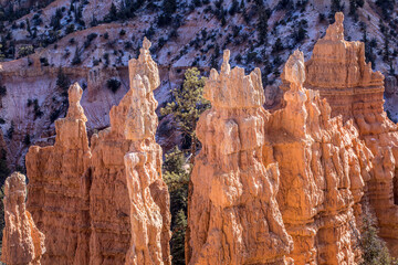 Close-Up View of Hoodoos in Bryce Canyon National Park