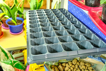 Tray with 50 cells for seed planting in a flower shop, surrounded by potted plants and gardening tools.