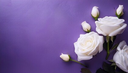 Fototapeta premium light roses on a flat background with space for text. template of a postcard for March 8, Valentine's Day, birthday