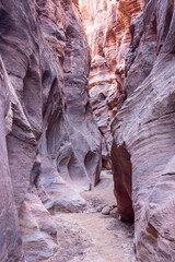 Winding Path Through Desert Slot Canyon
