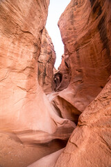 Narrow Slot Canyon with Smooth Sandstone Walls in Utah Desert