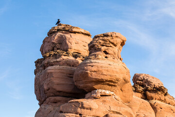 Sentinel Rock and Raven in Garden of the Gods