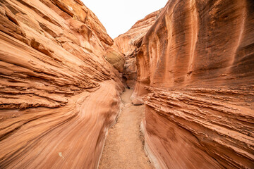 Slot Canyon's Winding Walls