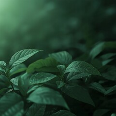 A macro view of fresh green leaves glistening with dew, capturing nature’s beauty and vitality.
