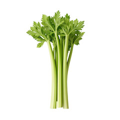 Fresh celery stalks, crunchy vegetable, perfect for healthy dishes