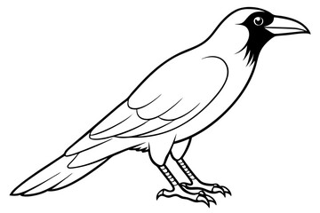 crow silhouette line art vector illustration with a white background