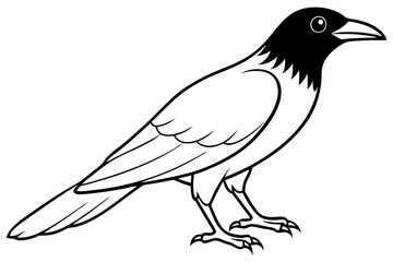 crow silhouette line art vector illustration with a white background