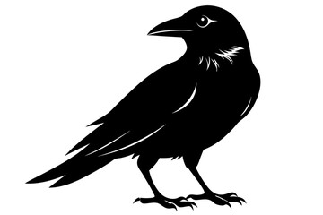 crow silhouette line art vector illustration with a white background