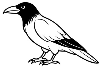 Obraz premium crow silhouette line art vector illustration with a white background