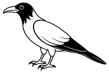 crow silhouette line art vector illustration with a white background