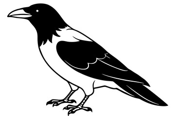 Obraz premium crow silhouette line art vector illustration with a white background