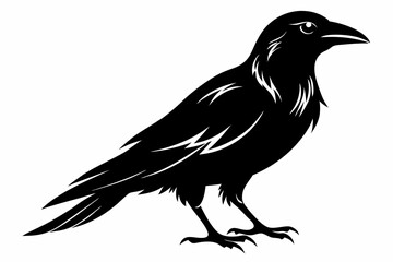 Obraz premium crow silhouette line art vector illustration with a white background