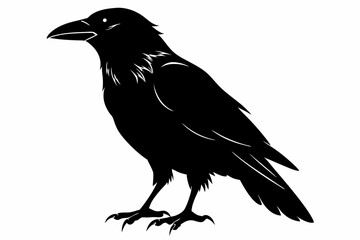 crow silhouette line art vector illustration with a white background