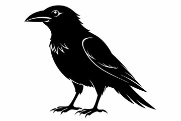 Obraz premium crow silhouette line art vector illustration with a white background