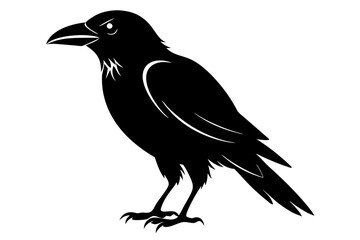 Obraz premium crow silhouette line art vector illustration with a white background