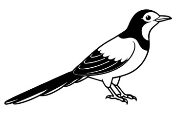 cuckoo silhouette line art vector illustration with a white background