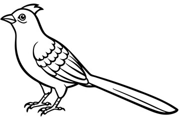 cuckoo silhouette line art vector illustration with a white background