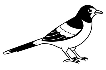 cuckoo silhouette line art vector illustration with a white background
