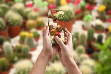 Man taking photo of plant to recognize it using identifier application on mobile phone indoors,...
